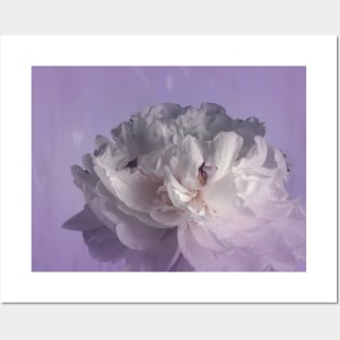 Elegant Peony Posters and Art